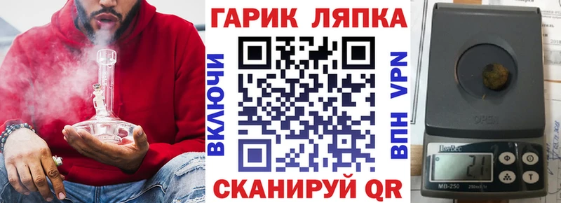 ГАШ VHQ Арск