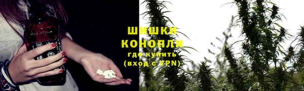 шишки Алексеевка