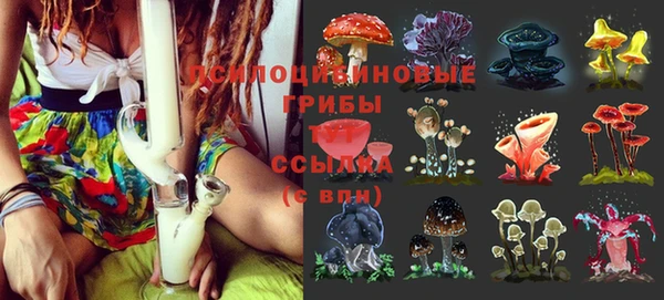 эйфоретик Алексин