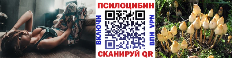 Галлюциногенные грибы Magic Shrooms  Арск 
